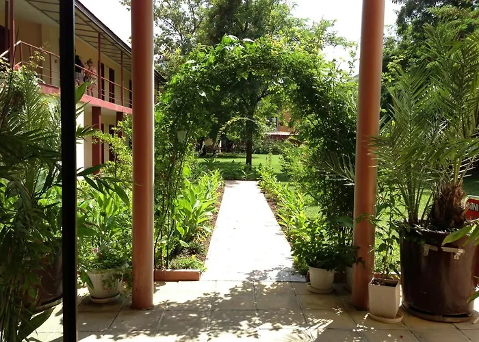 Отель Jupiter 3*