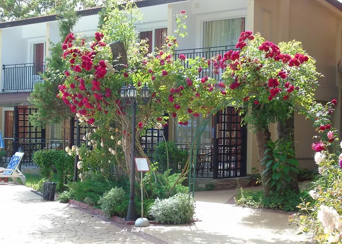 Szálloda Jupiter Napospart